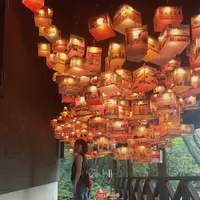 六甲山の写真・動画_image_575458