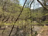 ささやまの森公園の写真・動画_image_575483