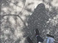 ささやまの森公園の写真・動画_image_575484