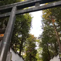 諏訪大社下社秋宮の写真・動画_image_575515