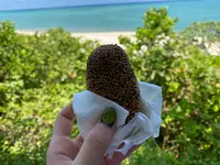 海美来の写真・動画_image_575565