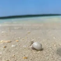 渡口の浜の写真・動画_image_575581