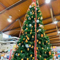 道の駅北浦街道豊北の写真・動画_image_575758