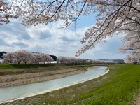 渡瀬橋の写真・動画_image_575890