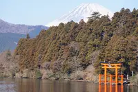 元箱根港の写真・動画_image_576665