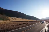 仙石原すすき草原の写真・動画_image_576680