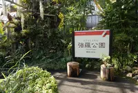箱根強羅公園の写真・動画_image_576687