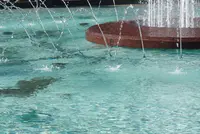 箱根強羅公園の写真・動画_image_576688