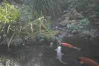 彫刻の森美術館の写真・動画_image_576696