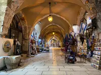 Cardoの写真・動画_image_576908