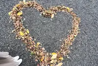 來宮神社の写真・動画_image_577029