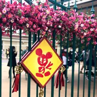 香港ディズニーランド（Hong Kong Disneyland）の写真・動画_image_578214