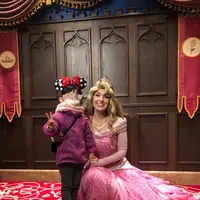 キャッスル・オブ・マジカル・ドリームの写真・動画_image_578227