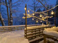 Sherokuma Sauna & Cafeの写真・動画_image_578373