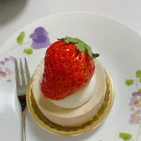 MAISON DE FROUGE メゾン・ド・フルージュの写真・動画_image_578621