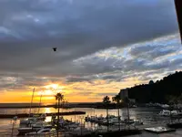 リブマックスリゾート熱海シーフロントの写真・動画_image_578675