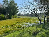 ロータスバレーゴルフリゾートの写真・動画_image_578720