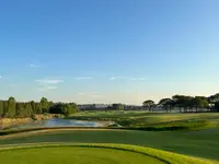 アヨダヤリンクスの写真・動画_image_579103