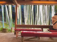 報国寺（竹寺）の写真・動画_image_580112