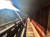 南禅寺の写真・動画_image_580168