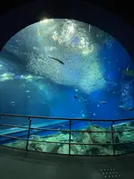 アクアワールド茨城県大洗水族館の写真・動画_image_580195