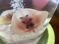 仙台うみの杜水族館の写真・動画_image_580205