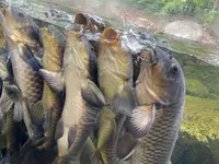 仙台うみの杜水族館の写真・動画_image_580206