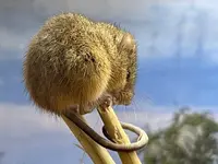 仙台うみの杜水族館の写真・動画_image_580207