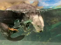 マリンワールド海の中道の写真・動画_image_580213