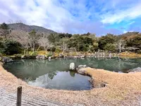 天龍寺の写真・動画_image_580282