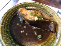 菜っぱの写真・動画_image_581022