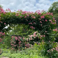 神戸布引ハーブ園の写真・動画_image_581079