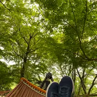 神戸布引ハーブ園の写真・動画_image_581080