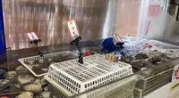 ミルキー鉄男のかき小屋 宇品店の写真・動画_image_581268