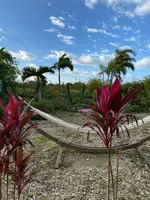 宮古島ゲストハウスコアの写真・動画_image_581632