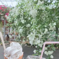 ユートピアファーム宮古島の写真・動画_image_581640