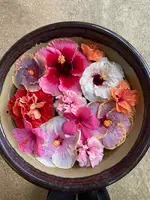 ユートピアファーム宮古島の写真・動画_image_581642