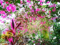 ユートピアファーム宮古島の写真・動画_image_581644