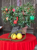 興福寺の写真・動画_image_581739