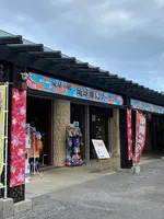 琉球の風の写真・動画_image_581753