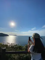 トトロの道の写真・動画_image_581789