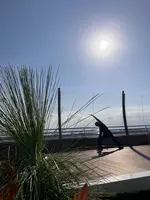 福岡空港の写真・動画_image_581808