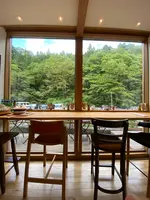 シマテラスの写真・動画_image_581841