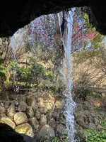 澤田政廣記念美術館の写真・動画_image_582339