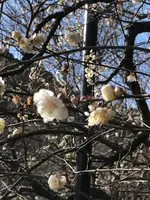 中山晋平記念館の写真・動画_image_582352