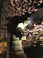 あたみ桜 糸川桜まつりの写真・動画_image_582383
