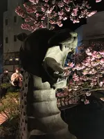 あたみ桜 糸川桜まつりの写真・動画_image_582384