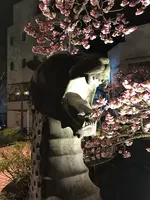 あたみ桜 糸川桜まつりの写真・動画_image_582386