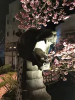 あたみ桜 糸川桜まつりの写真・動画_image_582388