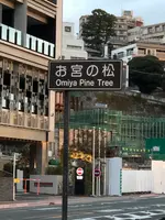 お宮の松の写真・動画_image_582393